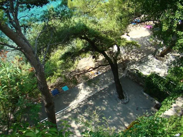 Apartment Ursic